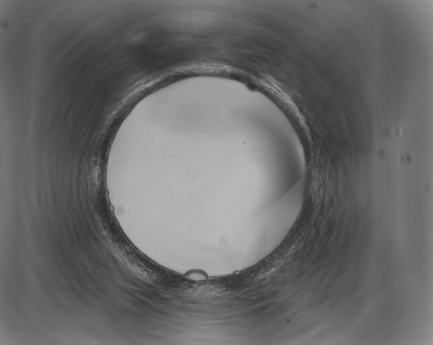 X0000084010063200703161724