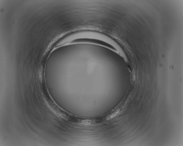 X0000084010064200703161724