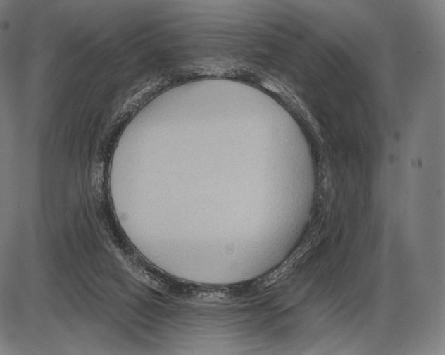 X0000084010066200703161724