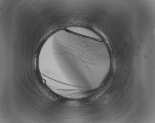 X0000084010067200703161724