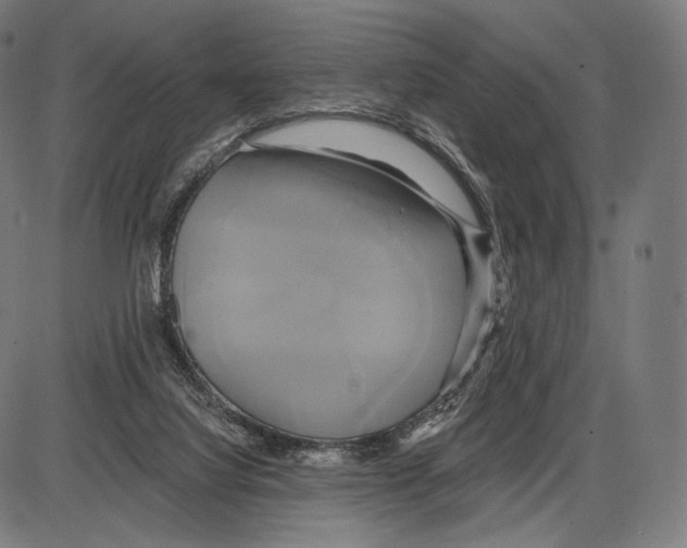 X0000084010068200703161724