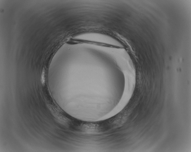 X0000084010069200703161724