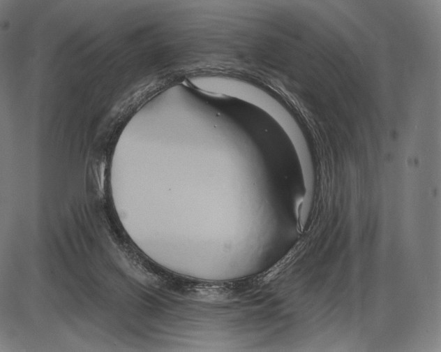 X0000084010070200703161724