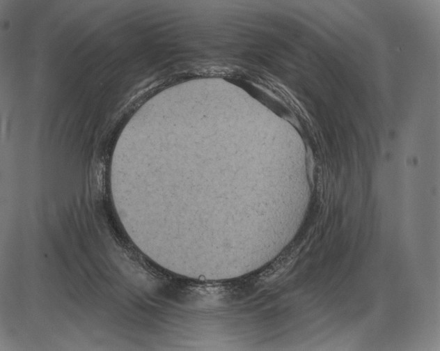 X0000084010071200703161724