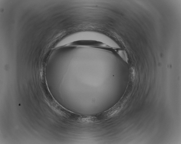 X0000084010072200703161724