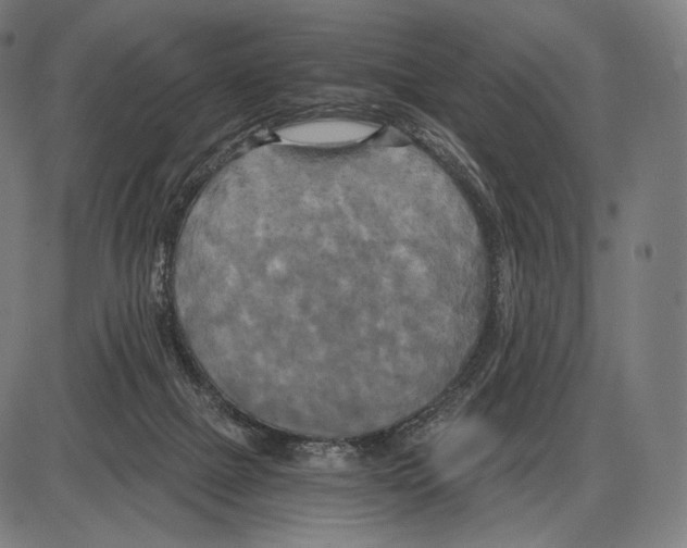 X0000084010073200703161724