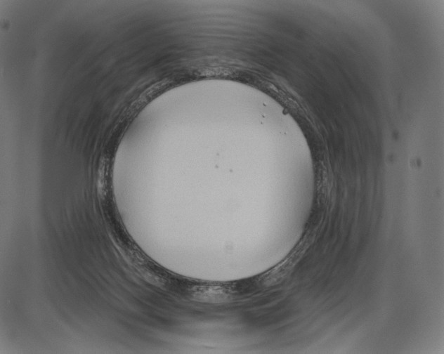 X0000084010074200703161724