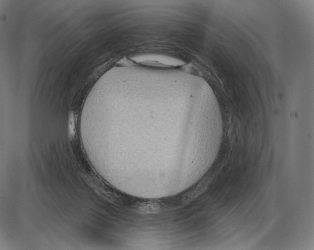 X0000084010075200703161724