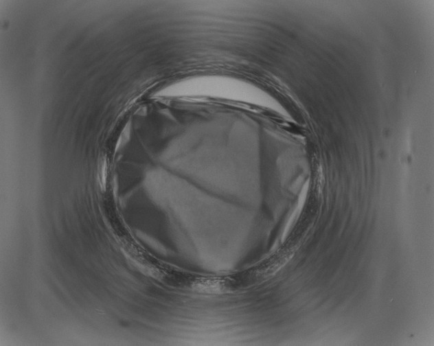 X0000084010076200703161724