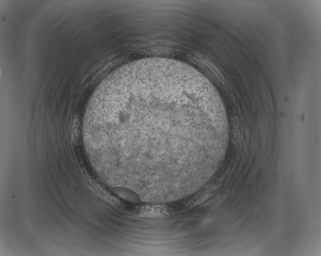 X0000084010077200703161725