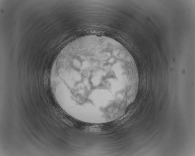 X0000084010078200703161725