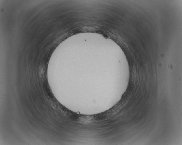 X0000084010079200703161725