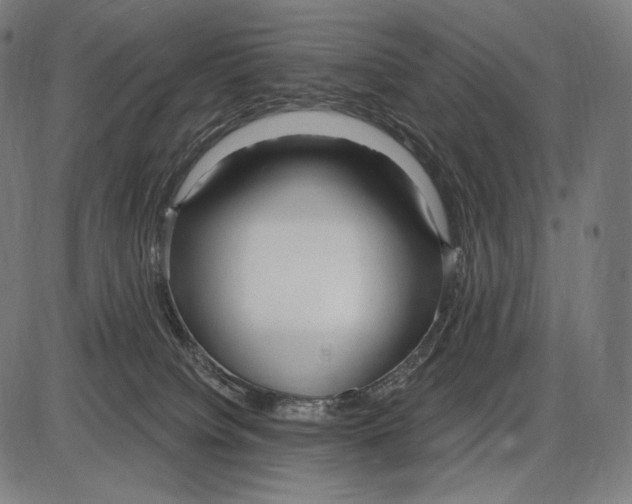 X0000084010084200703161725