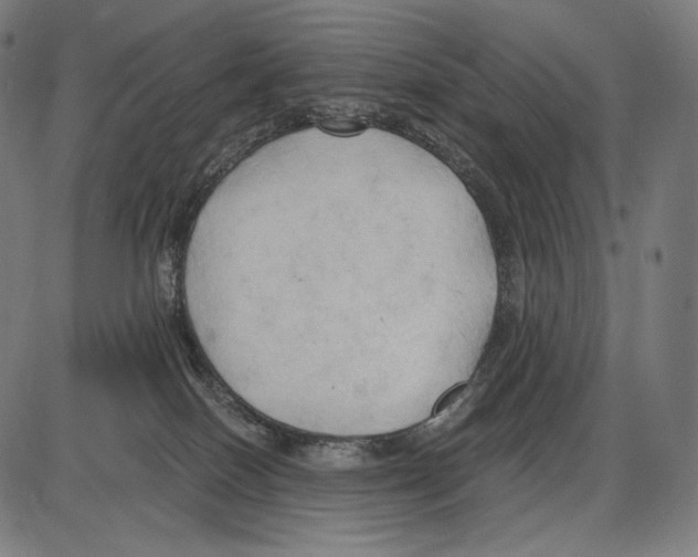 X0000084010086200703161725