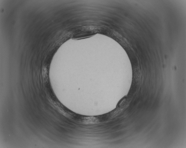 X0000084010087200703161725