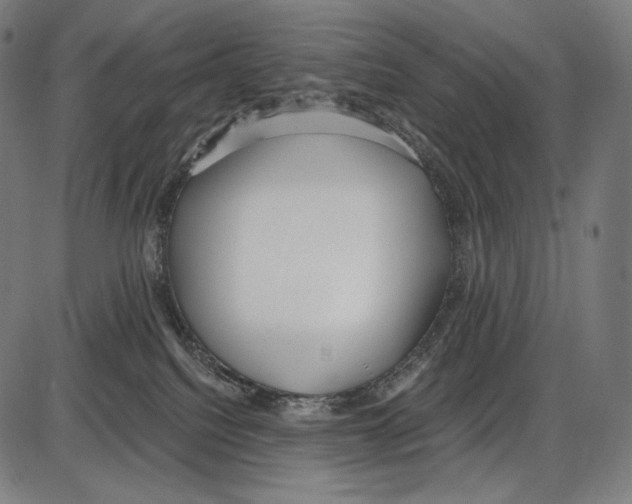 X0000084010088200703161725