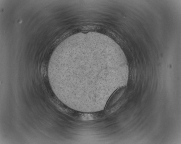 X0000084010091200703161725