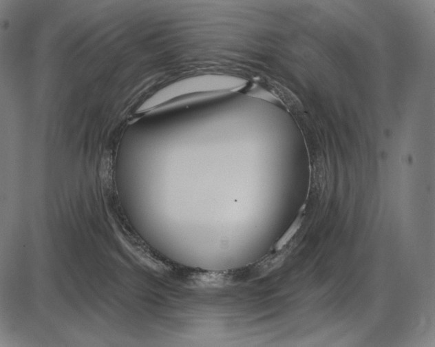 X0000084010092200703161725