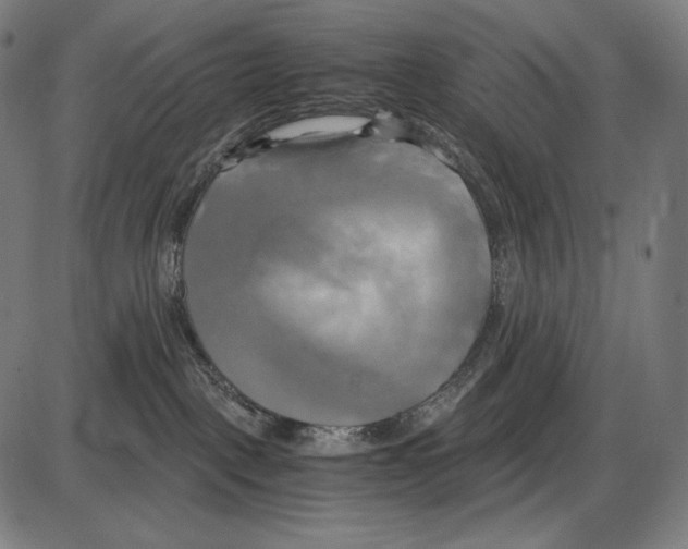 X0000084010093200703161725