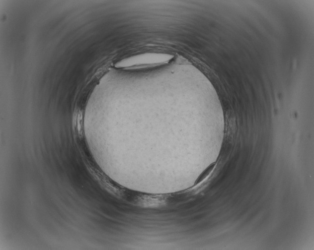 X0000084010094200703161725