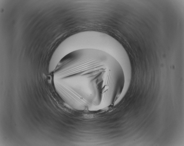 X0000084010095200703161725