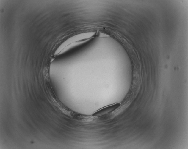 X0000084010096200703161725