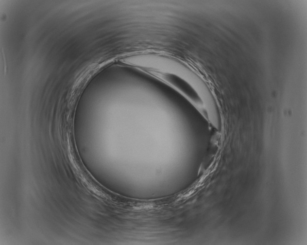 X0000084010097200703161724