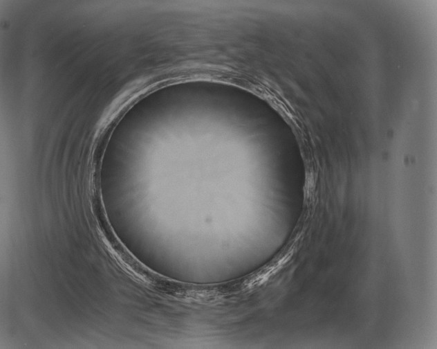 X0000084010101200703161724