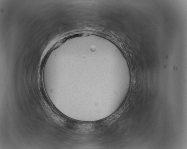 X0000084010102200703161724