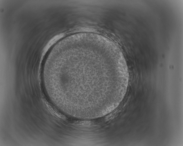 X0000084010104200703161724