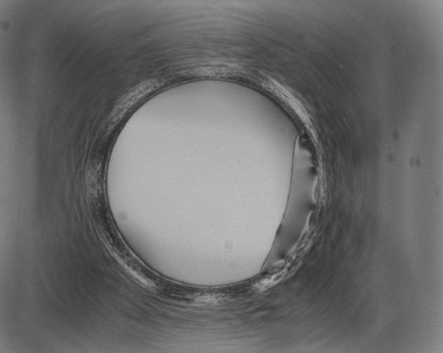 X0000084010105200703161724