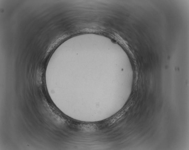 X0000084010106200703161724