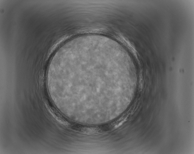 X0000084010107200703161724