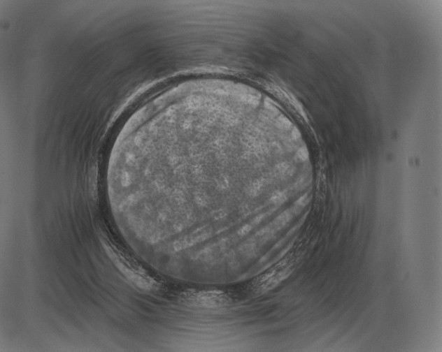 X0000084010108200703161724