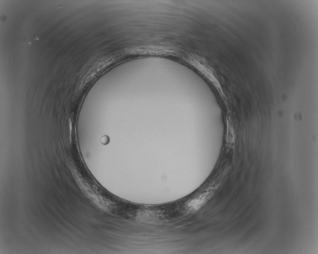 X0000084010109200703161724