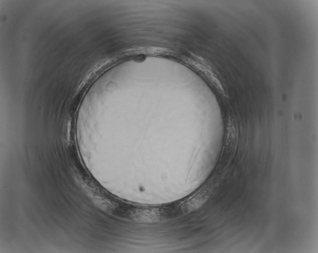 X0000084010110200703161724