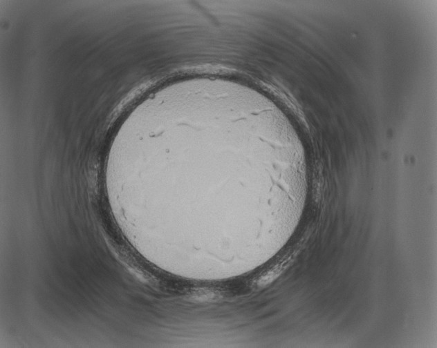 X0000084010111200703161724