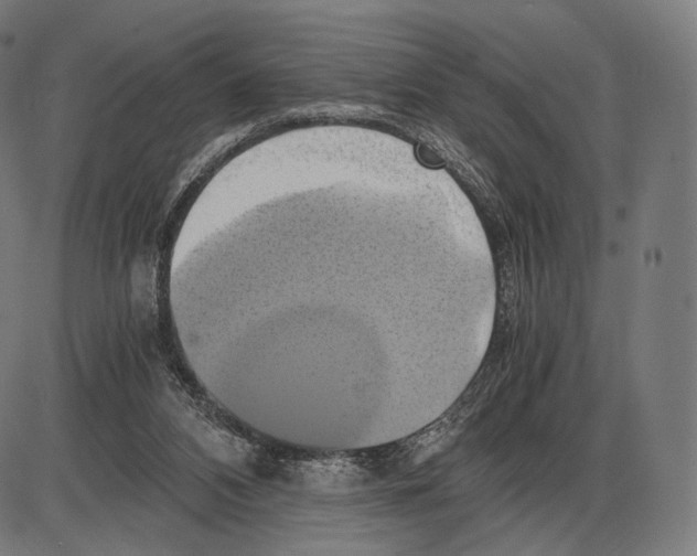 X0000084010112200703161724