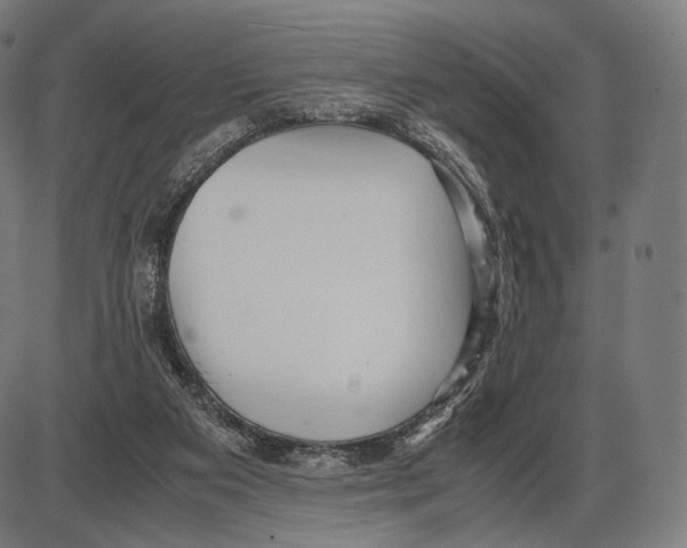 X0000084010113200703161724