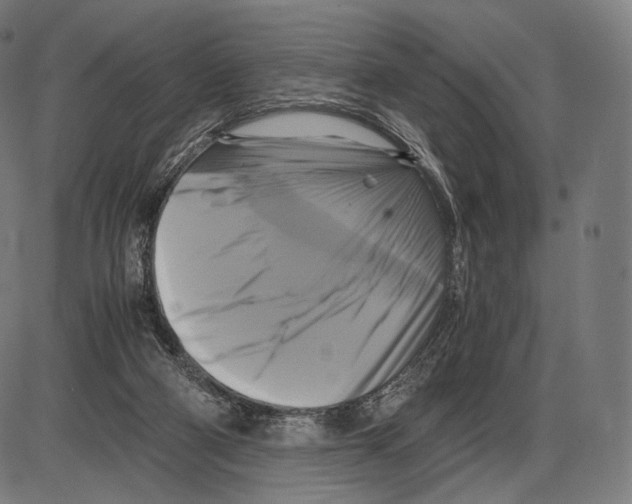 X0000084010114200703161724