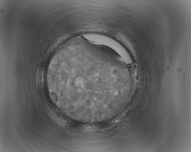 X0000084010115200703161724