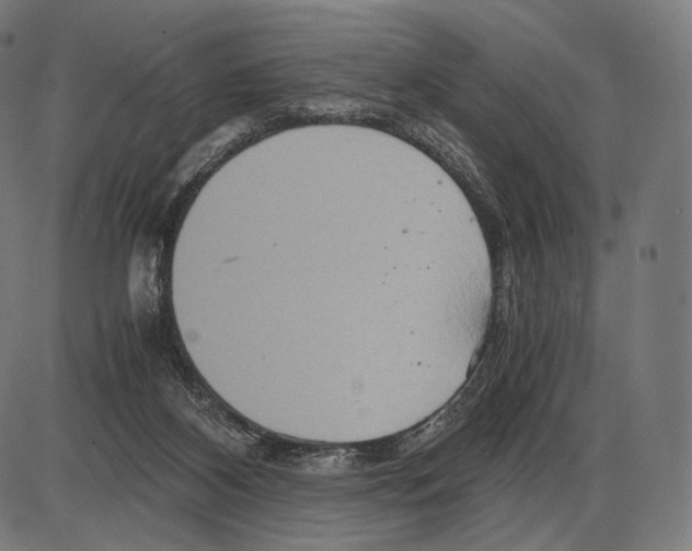 X0000084010116200703161724