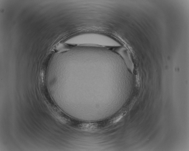 X0000084010117200703161724