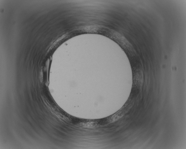 X0000084010120200703161724