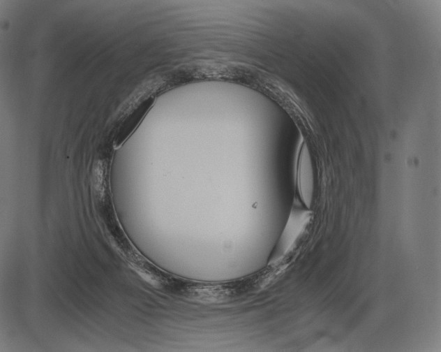 X0000084010121200703161724