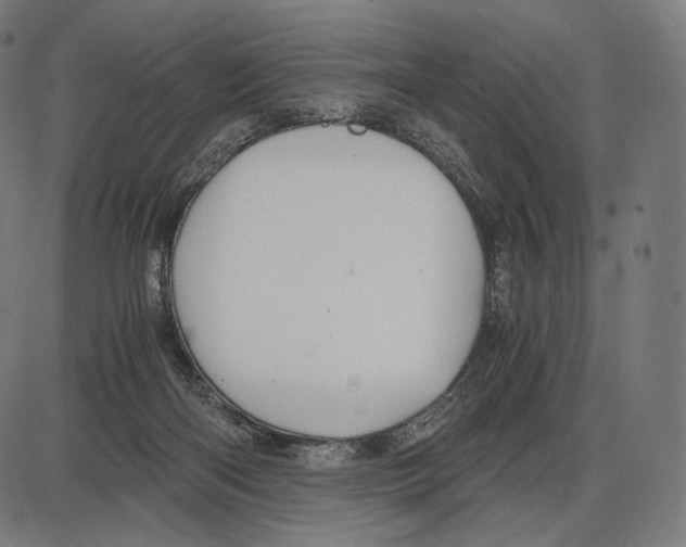 X0000084010122200703161724