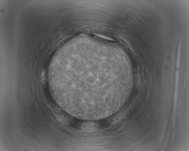 X0000084010123200703161724