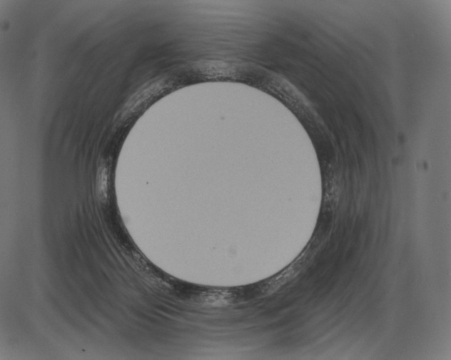 X0000084010124200703161724