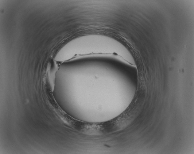 X0000084010125200703161724