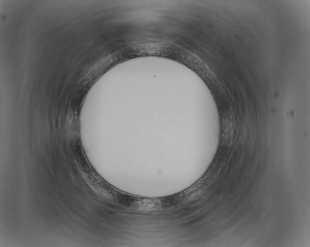 X0000084010126200703161724